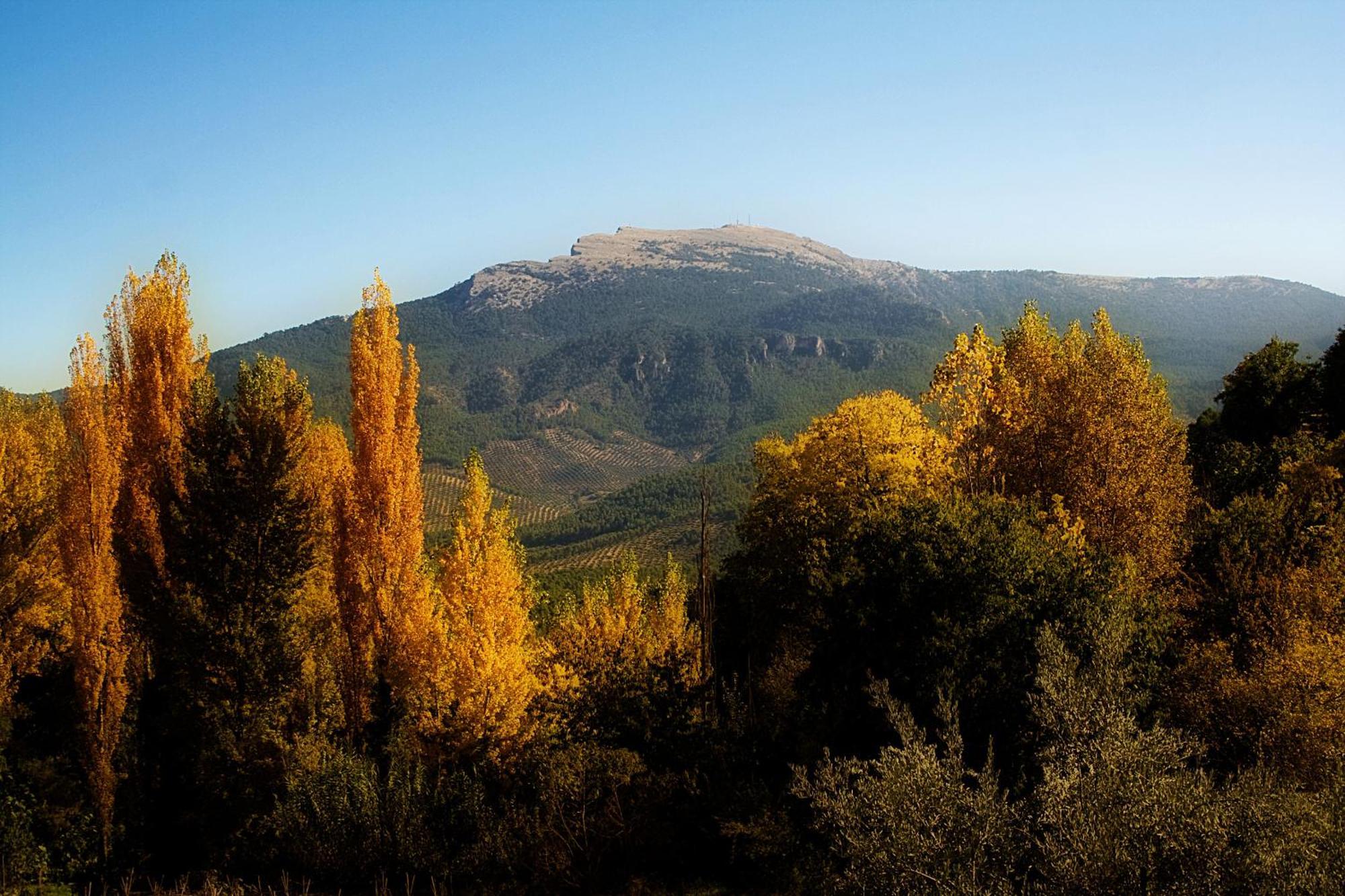 Los Huertos De Segura Segura de la Sierra Ngoại thất bức ảnh